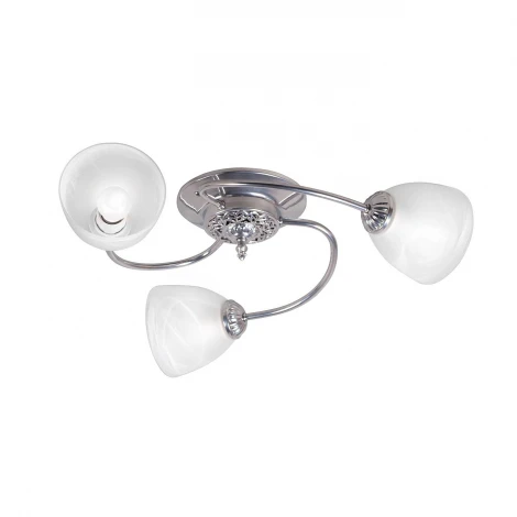 Потолочная люстра Day&Night S9125-3