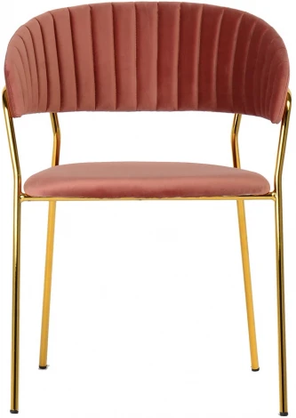 Комплект из 2-х стульев Turin пудровый с золотыми ножками Bradexhome арт.FR 0161P