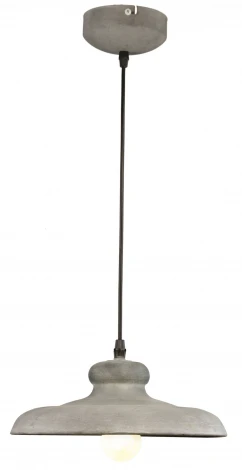 Подвесной светильник Arte Lamp Loft A5025SP-1BG