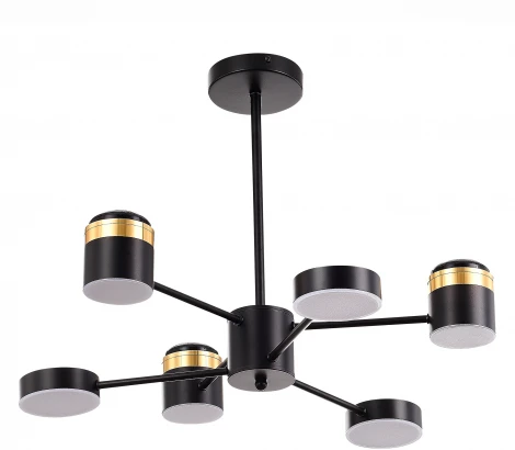 Потолочная люстра на штанге Evoluce Tezze SLE6007-402-06