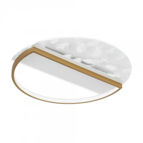 Потолочный светильник светодиодный с пультом с регулировкой цветовой температуры и яркости LED4U LED4U L1043-500 GD