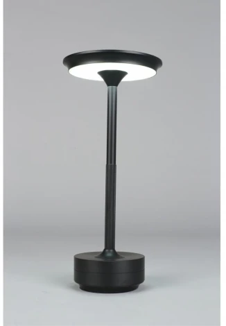 Настольная лампа светодиодная Aployt Markel APL.064.24.05 (220V)