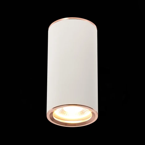 Накладной точечный светильник ST Luce Chomus ST111.527.01 (220V, круглые)