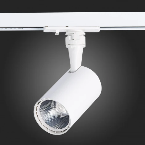 Трековый светильник ST Luce Cami ST351.546.10.36 (LED, 220V, круглые, IP22)