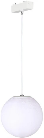 Светильник трековый магнитный 48V Aployt Magnetic track 48 APL.0123.10.06 (LED, шар)