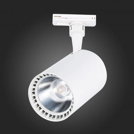 Трековый светильник ST Luce Cami ST351.536.30.24 (LED, 220V, круглые, IP22)