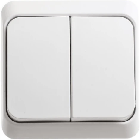 Выключатель накладной двухклавишный с подсветкой (белый) Systeme Electric BA10-006B