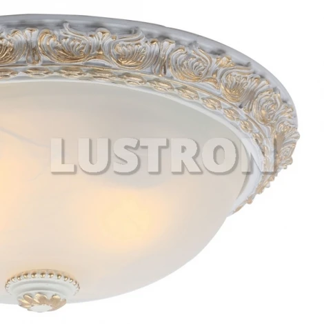Потолочный светильник Arte Lamp Torta A7122PL-2WG