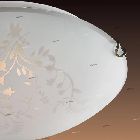 Настенно-потолочный светильник Sonex Kusta 118/K