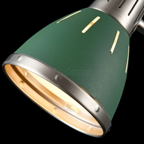 Офисная настольная лампа Freya Nina FR5151-TL-01-GN