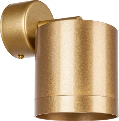 Спот Lightstar Rullo RBX34903490 (220V)