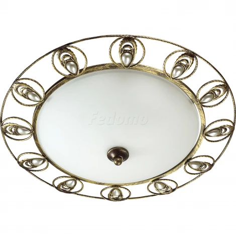 Настенно-потолочный светильник Odeon Light Kanti 3484/3C