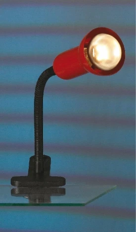 Интерьерная настольная лампа Lussole Warshawa LST-4534-01