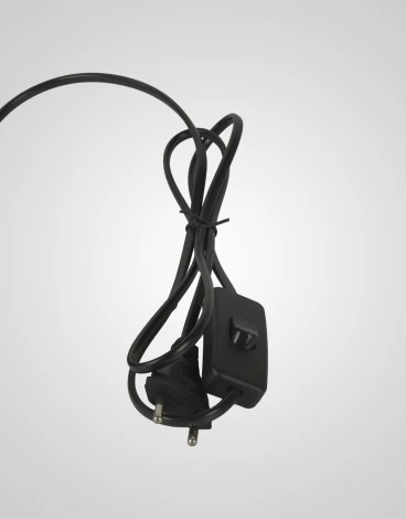 Настольная лампа Мелодия Света TL2N 000059584