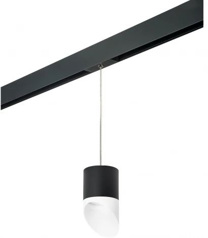 Трековый светильник однофазный 220V Lightstar Rullo PRORP348786 (круглые)