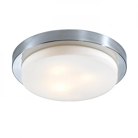Настенно-потолочный светильник Odeon Light Holger 2746/3C (220V, IP44)