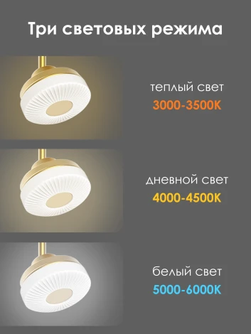 Спот Мелодия Света SS1L 000021553