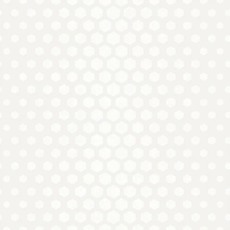 Обои флизелиновые SK Filson Sovereign DE41859 10,05 x 0,53 м