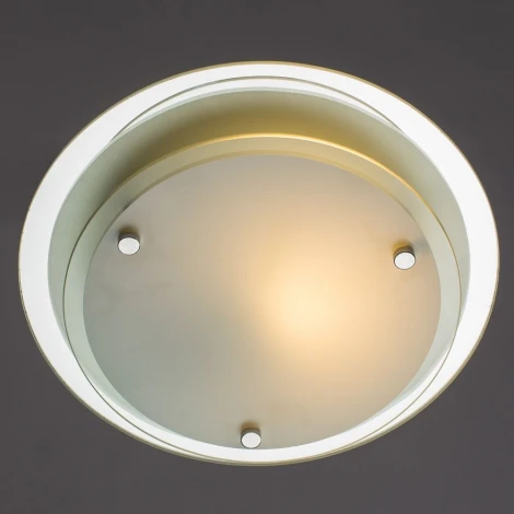 Потолочный светильник круглый Arte Lamp Rapunzel A4867PL-1CC (220V)
