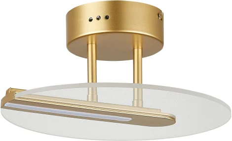 Потолочная люстра Simple Story 1165 1165-LED13CL