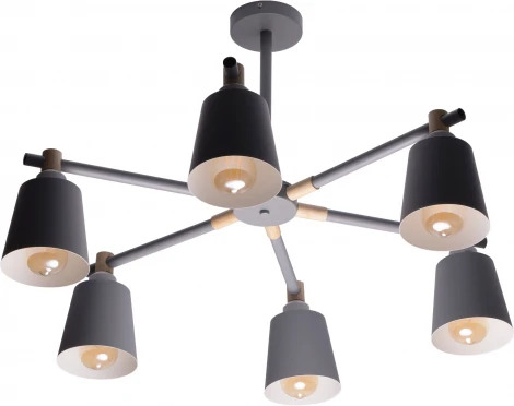 Потолочная люстра на штанге Ritter Volante 52444 1