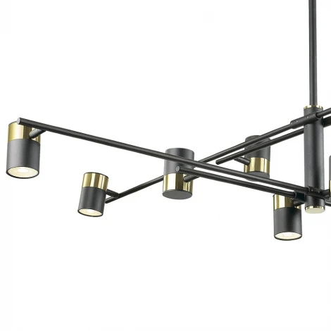 Потолочная люстра Lumien Hall Sauris LH8020/10P-BK-GD