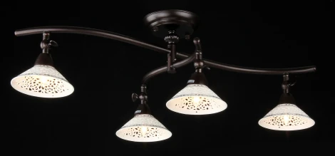 Спот Maytoni Spot 2 ECO002-04-R