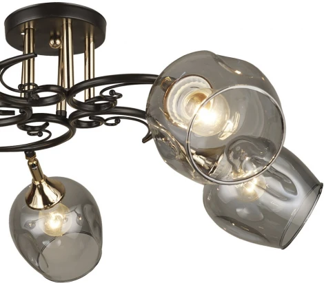 Потолочная люстра Wedo Light Alvi 66744.01.15.05