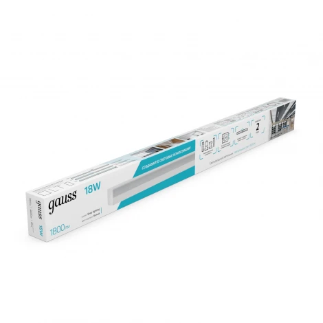 Настенно-потолочный светильник светодиодный Gauss 883525280