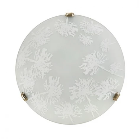 Настенно-потолочный светильник Lampex Winter 378/P1