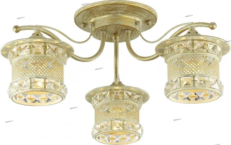 Потолочная люстра Lumion Sammati 3482/3C