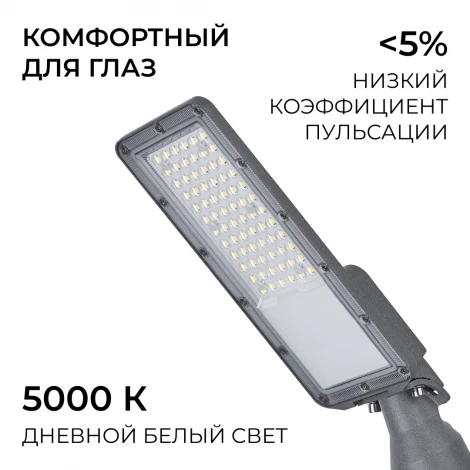 Уличный консольный светильник консольный с регулировкой наклона 50Вт 6000лм 5000К IP66, КСС "Ш" серый Apeyron 29-14