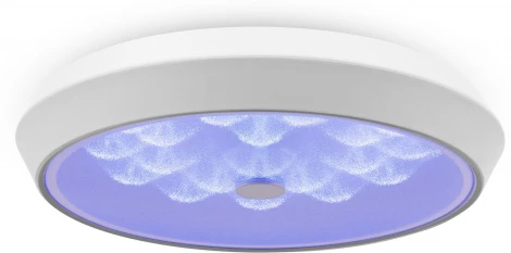 Потолочный светильник RGB круглый Freya Cells FR10012CL-L24W (LED, 220V, пульт управления, круглые)