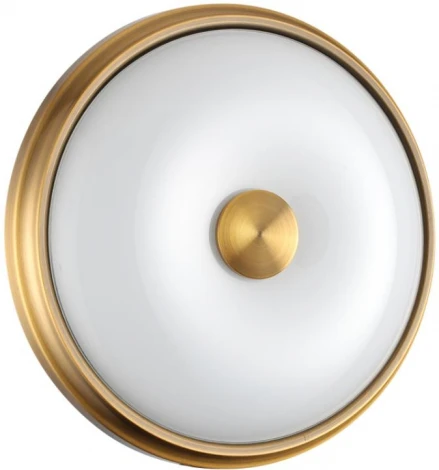 Настенно-потолочный светильник Odeon Light Pelow 4956/2 (220V, круглые)