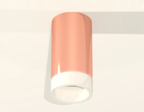 Накладной точечный светильник Ambrella Techno Spot XS6326021 (220V, круглые)