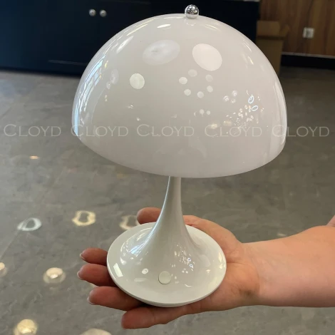 Настольная лампа светодиодная с аккумулятором Cloyd Aktuell 30129 (220V)