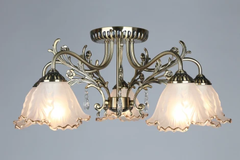 Потолочная люстра Omnilux Petrara OML-54807-05 (220V)