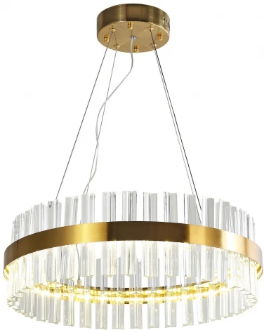 Подвесная люстра Favourite Placerat 4012-5P (LED, 220V, на тросе, круглые)