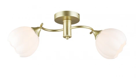 Потолочная люстра Мелодия Света SL1N SL4840-2 GD 000066031