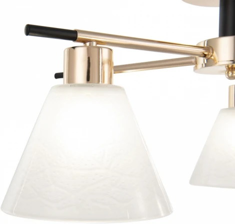 Потолочная люстра на штанге Arte Milano Napoli 322119/5 FG+BK (220V)