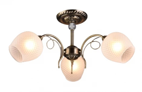 Потолочная люстра на штанге Мелодия Света SS1N 000024927