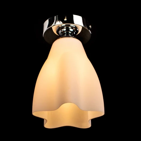 Потолочный светильник Arte Lamp Canzone A3469PL-1CC