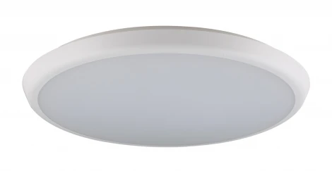 Потолочный светильник уличный Globo Aemon 32109S