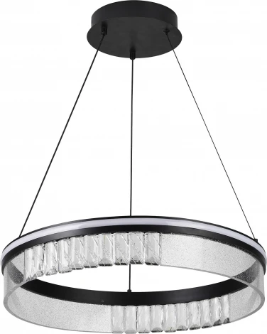 Подвесной светильник светодиодный Natali Kovaltseva Sad Queen INNOVATION STYLE 83128 PETEROLJA с пультом ДУ, моб. приложением 120W, черный, LED