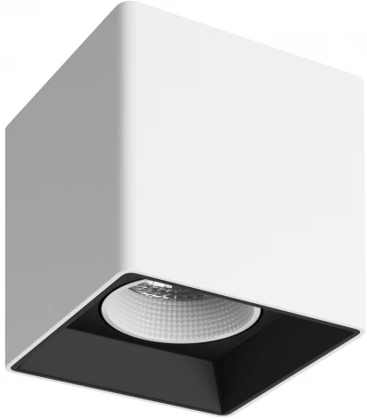 Накладной точечный светильник Denkirs DK3030 DK3080-WB+WH (220V, куб)