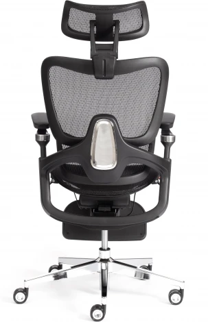 Кресло Sakura Tetchair (Сетка/Черный) арт.24859