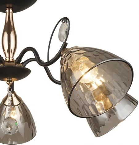 Потолочная люстра Wedo Light Montello 66669.01.69.05