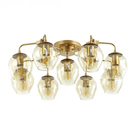 Потолочная люстра Odeon Light Kuva 4660/9