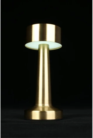 Настольная лампа светодиодная с выключателем Aployt Perrayn APL.671.04.01 (220V, круглые)