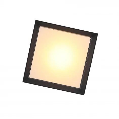 Потолочный светильник уличный ST Luce Cubista SL077.402.01